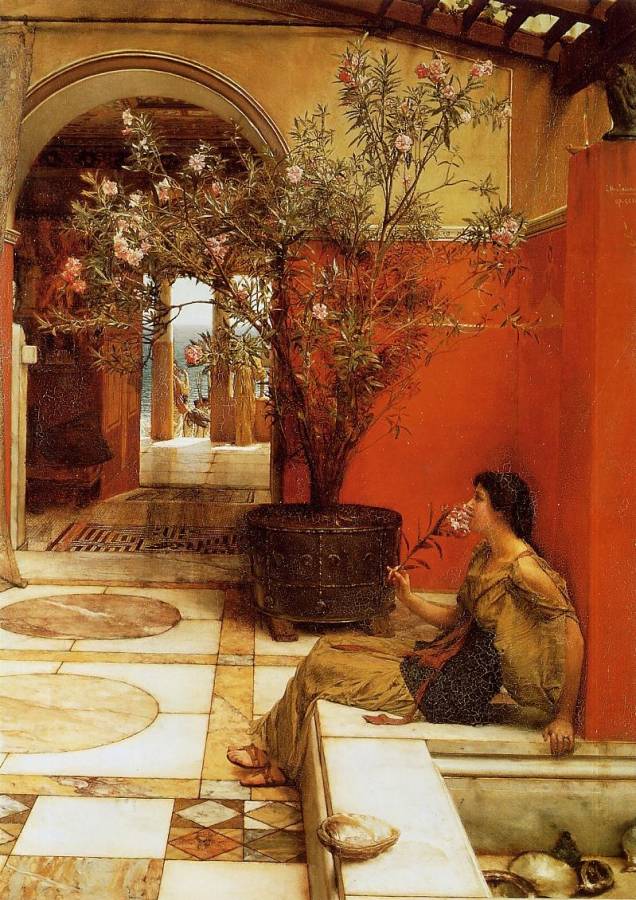 Alma-Tadema Lawrence - Un olivier.jpg